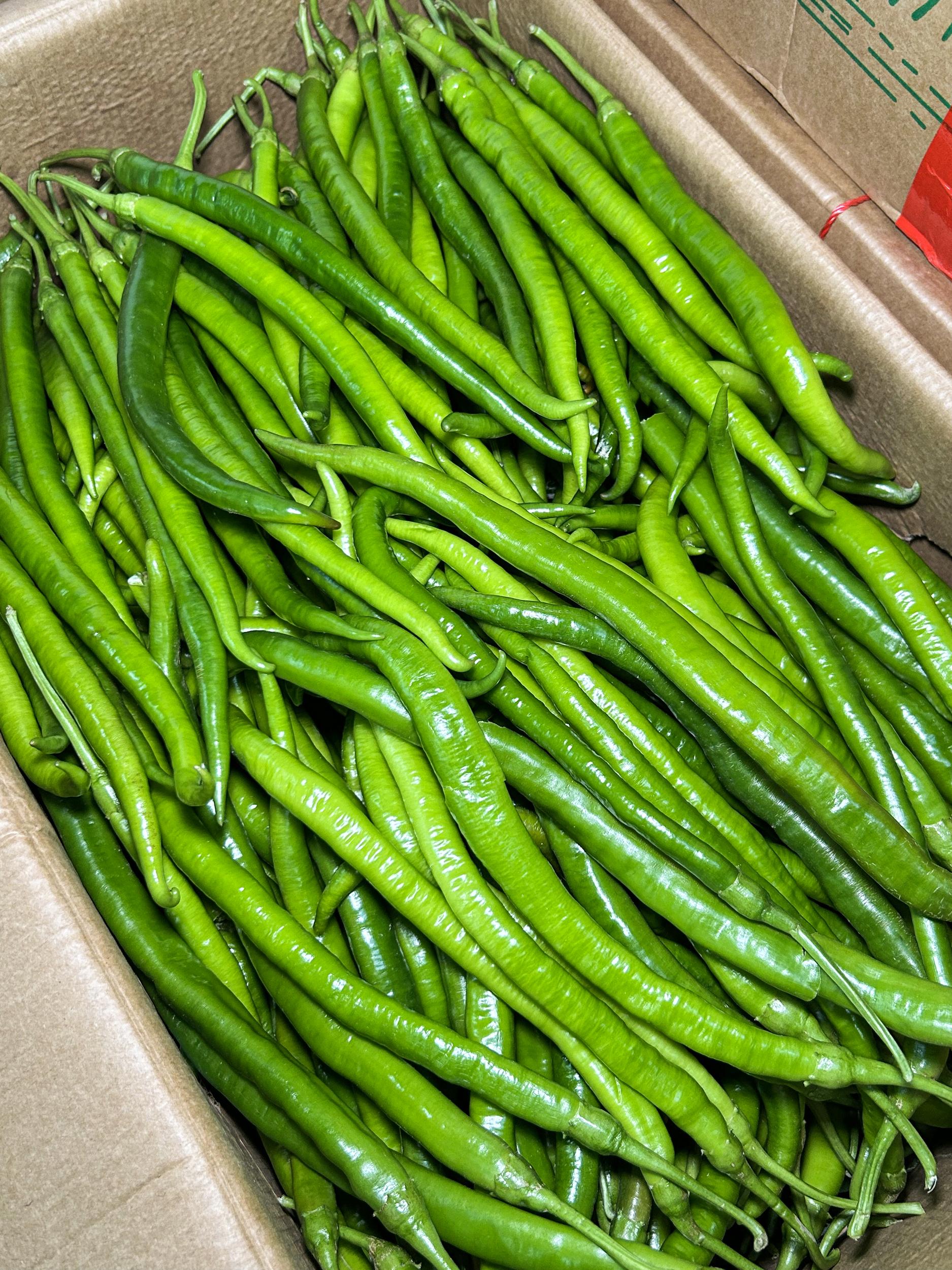 菜多多实拍蔬菜图 (3)
